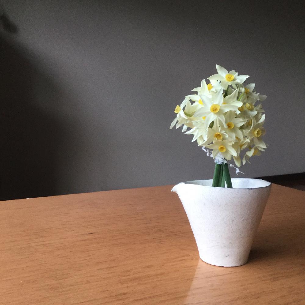 スイセンの投稿画像 By Kitokaさん 器とお花のフォトコンテスト18と花のある暮らしと光と影とスマイルアレンジメントwinter 18月10月10日 Greensnap グリーンスナップ