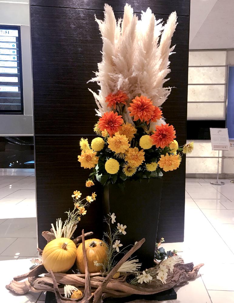 パンパスグラスの投稿画像 By 茶々のお庭さん ダリアとススキとコスモスとhtcとホテルの花とハロウィンと流木と こまち多肉部 とフラワーアレンジメントとゆるキャラ倶楽部とお出かけ先とhtcとホテルの花とハロウィンと流木と こまち多肉部 とフラワーアレンジメント