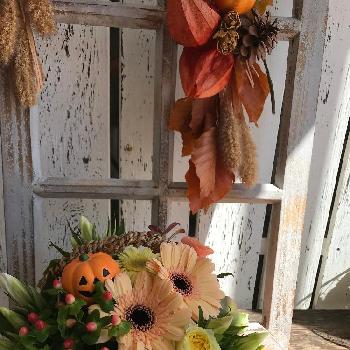 はなこうのアルバム Greensnap グリーンスナップ