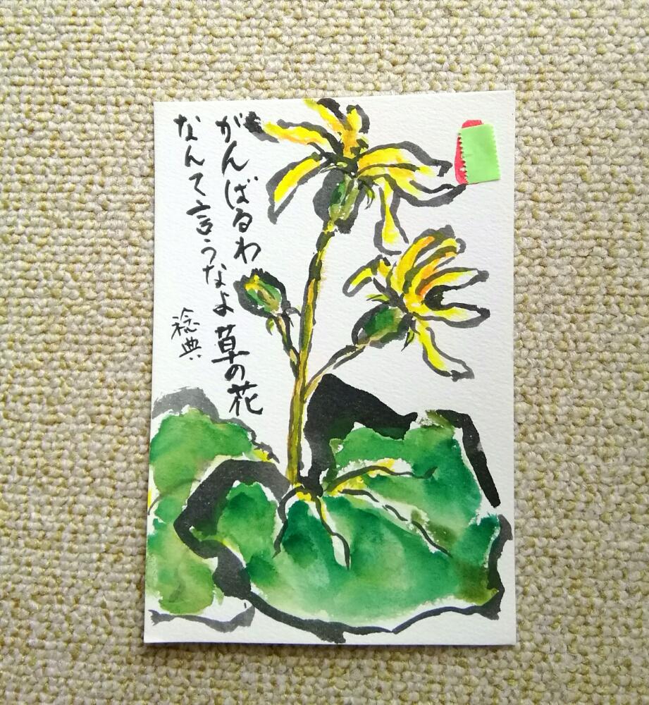 ツワブキの花の投稿画像 By くまちゃんさん 絵手紙と描いてみよう 18月10月15日 Greensnap グリーンスナップ