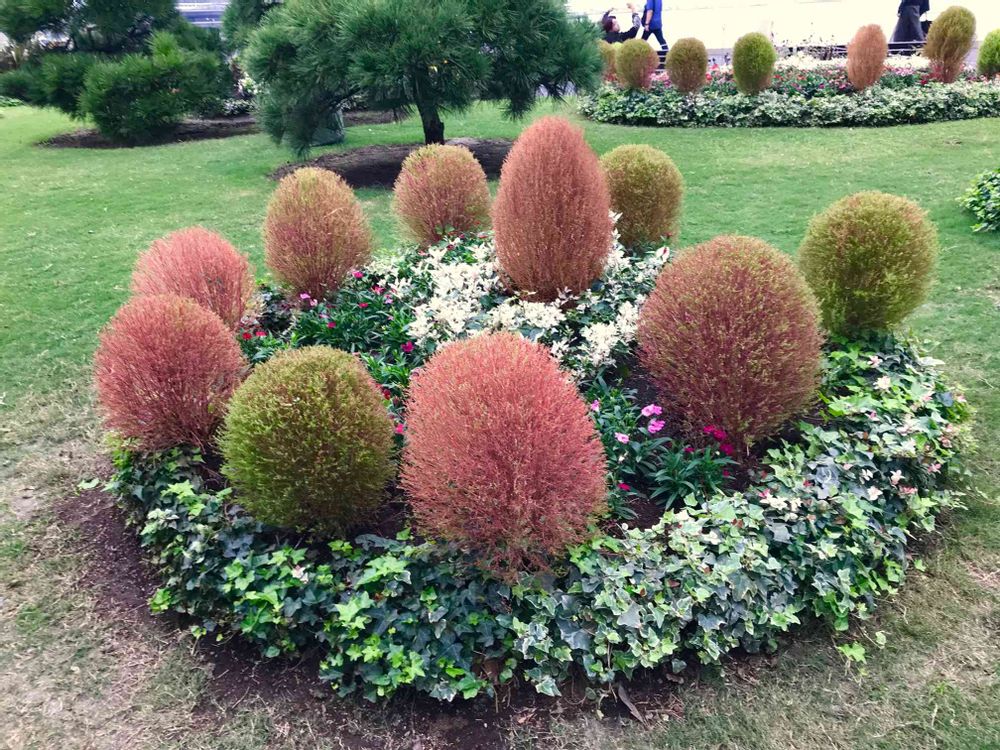 ひろちゃんさんの山下公園への投稿