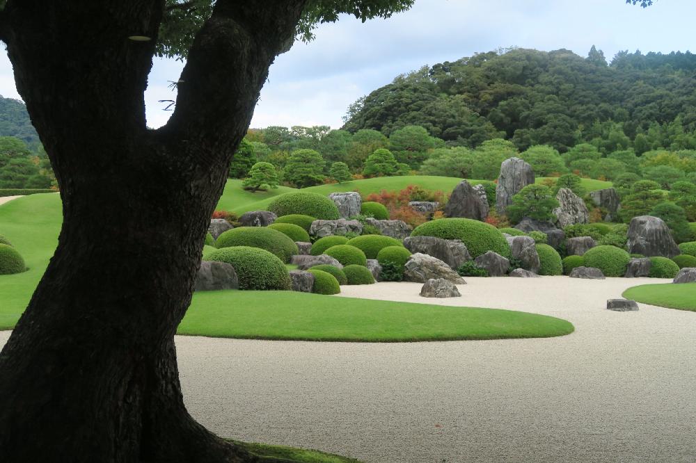 足立美術館の投稿画像 By Blauleafさん 千葉多肉会と千葉県と北の大地北海道と日本庭園とgs映えとgs日和と台風21号被災者応援と大ちゃん頑張れと花のある暮らしと頑張れ えっこと千葉タニラー 18月10月17日 Greensnap グリーンスナップ