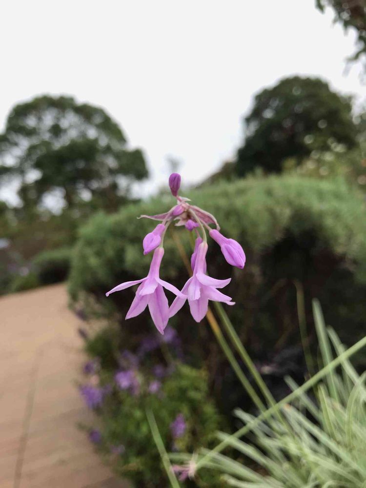 nakkyさんの山下公園への投稿