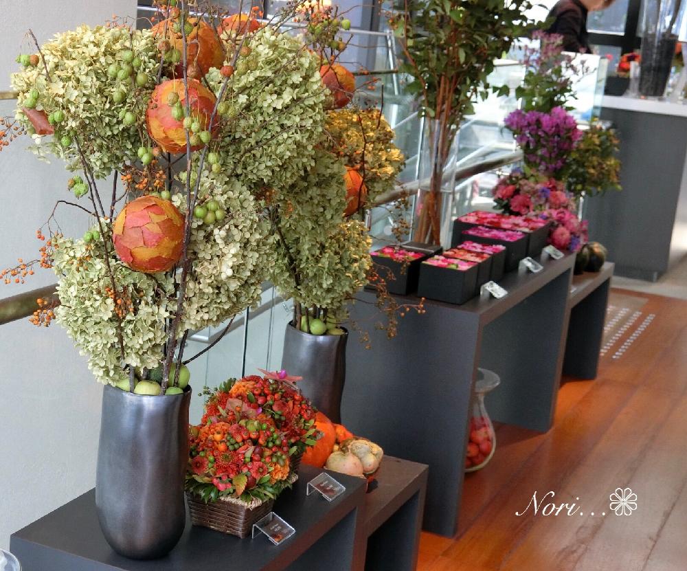 花のある暮らしの投稿画像 By Norinoriさん ニコライバーグマンとnomu Kobeとノム コウベ 18月10月19日 Greensnap グリーンスナップ