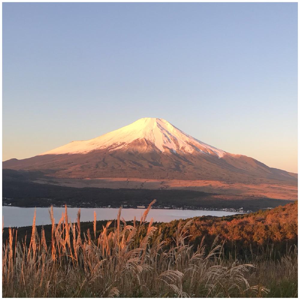 富士山の投稿画像 By 上ちゃんさん 富士山とススキと富山支部と北の大地北海道と頑張れ えっこと今日の富士山と 秋を感じる フォトコンテスト 18月10月21日 Greensnap グリーンスナップ