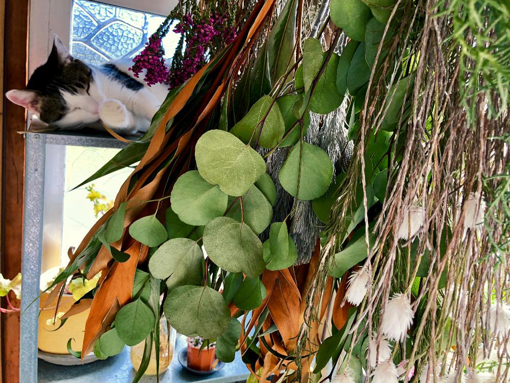 エバーラスティングの投稿画像 by つかじさん｜ユーカリとエリカと 