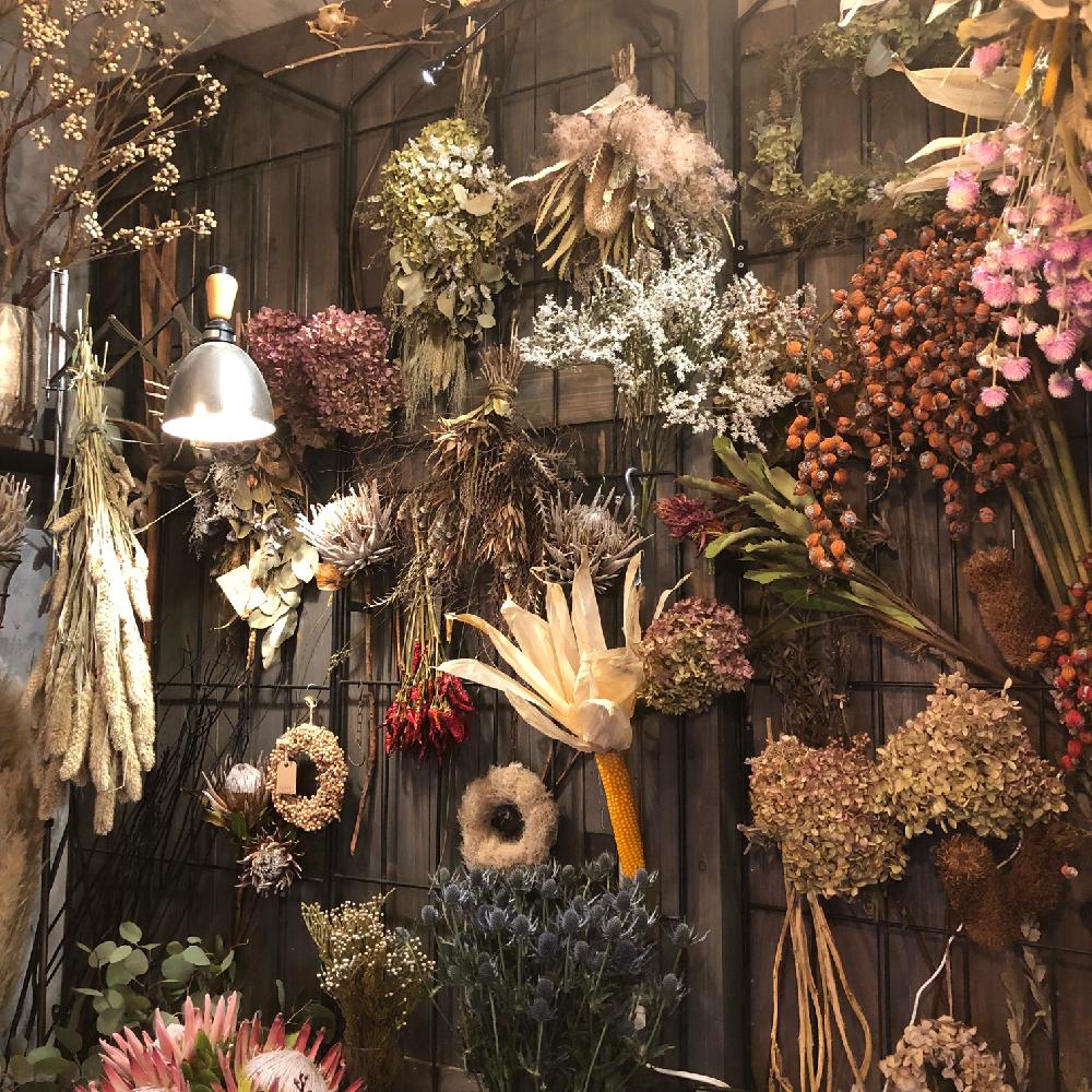 植物のある暮らしの投稿画像 By Cozycozy さん ボタニカルライフとドライフラワーと花のある風景と花屋めぐりと花のある暮らし 18月10月28日 Greensnap グリーンスナップ
