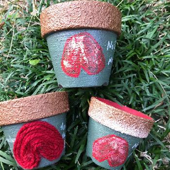 逆ハートの投稿画像一覧 Greensnap グリーンスナップ