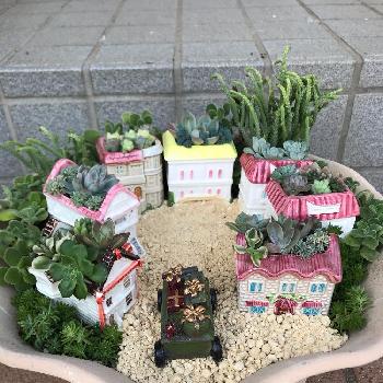 野原園芸の投稿画像一覧 Greensnap グリーンスナップ