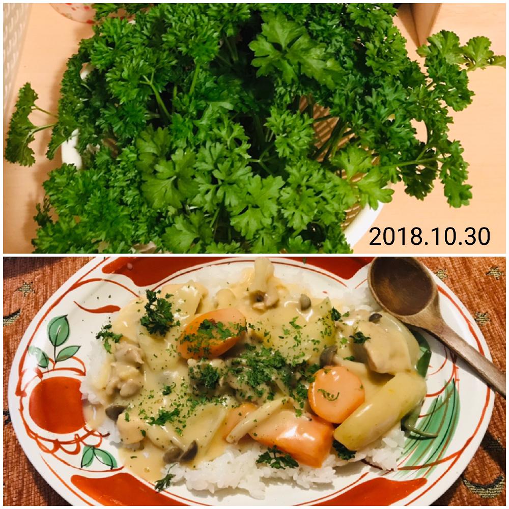 ハーブ料理の投稿画像 By Goosさん 料理してみました とパセリ と家庭菜園奮闘日記とハーブを使った料理とお料理しました 18月10月31日 Greensnap グリーンスナップ