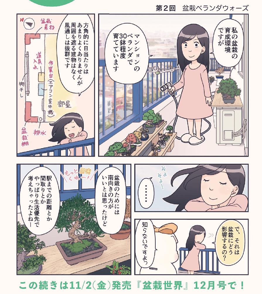 盆栽漫画