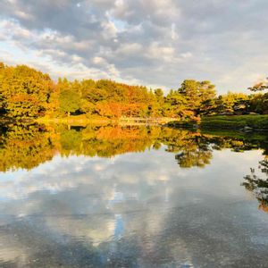 昭和記念公園,日本庭園,紅葉（こうよう）,秋の風景,そらの画像