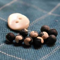 フウセンカズラ,フウセンカズラの種,果実,ムクロジ科の画像