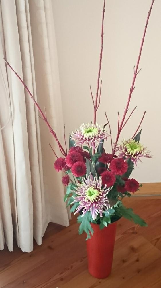 サンゴミズキの投稿画像 By ほりーさん 花束 ブーケと投げ入れとプレゼントといただきものと花のある暮らし 18月11月4日 Greensnap グリーンスナップ