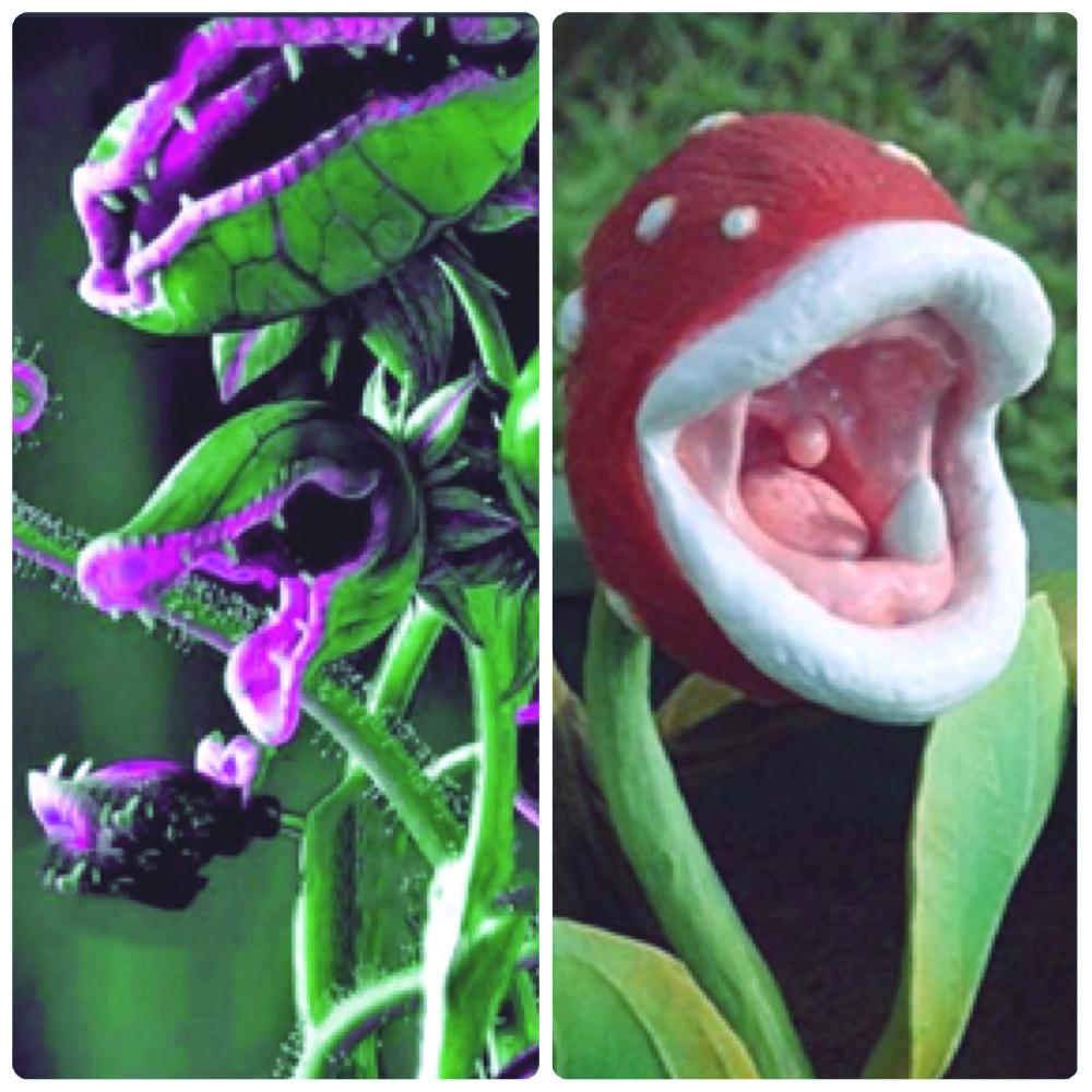 映え の投稿画像 By Ria 職業 トレーナー さん カッコいい とえ と素晴らしいと珍奇植物とその他と素敵 18月11月5日 Greensnap グリーンスナップ