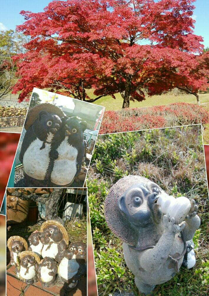 滋賀県立陶芸の森の投稿画像 By みぃみぃ さん タヌキ祭り とgs映えと滋賀県と紅葉 こうよう と いいね ありがとうとたぬきの置物と陶芸の町と たぬきの日と信楽町と信楽焼 18月11月8日 Greensnap グリーンスナップ