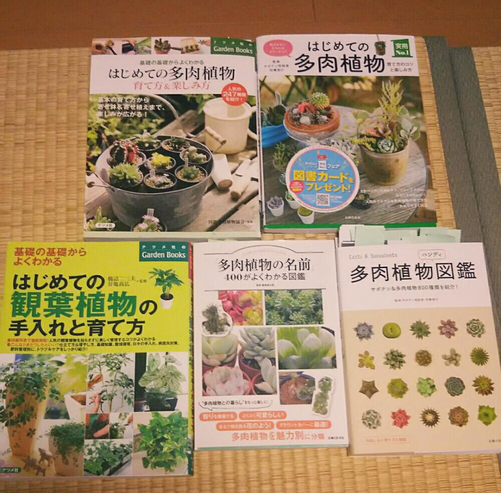 観葉植物の本の投稿画像 By 好枝さん 多肉植物の本と花のある暮らしと家の中 18月11月9日 Greensnap グリーンスナップ