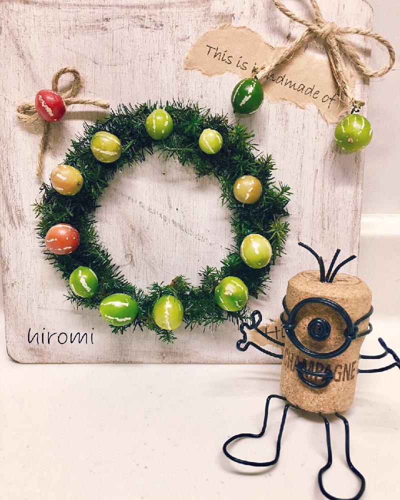 オキナワスズメウリの投稿画像 By Hiromi My Garden Resuscitation さん 琉球おもちゃうりとオモチャウリとオキナワ スズメウリ とオキナワスズメウリリース販売と私のクリスマスアレンジレシピと沖縄スズメウリ と インテリアグリーン フォトコンテスト18と