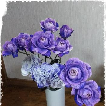 紫のカーネーションの画像 by えみ☆さん | 部屋と染め薔薇とはるちゃんの店と紫のカーネーションと紫のバラとお花部