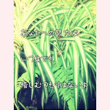 B Zの歌詞の世界観の投稿画像一覧 Greensnap グリーンスナップ