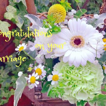 ハッピーウエディングの投稿画像一覧 Greensnap グリーンスナップ