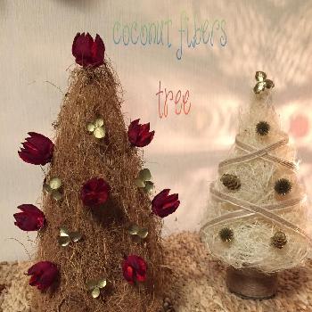 手作りツリーの画像 by 美野美谷さん | 部屋とココファイバーとハンドメイドツリーと冬支度祭とハンドメイドと手作りクリスマスと手作りツリーとarrange etcとM's arrange etc
