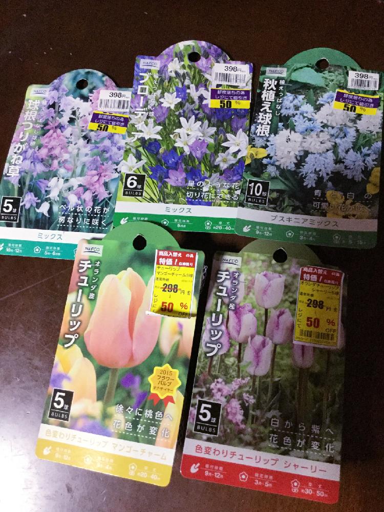 田舎暮らしの投稿画像 By きーちゃん さん 球根つるがね草と家 とかわいい とプスキニア と チューリップと花 のある暮らしと部屋と田舎暮らしと球根つるがね草と家 とかわいい とプスキニア と チューリップと花のある暮らし 18月11月17日 Greensnap