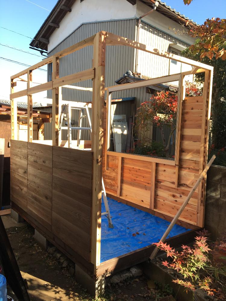 蘭の小屋作りの投稿画像 By Takayaさん 生活環境と寒さに負けず 18月11月18日 Greensnap グリーンスナップ