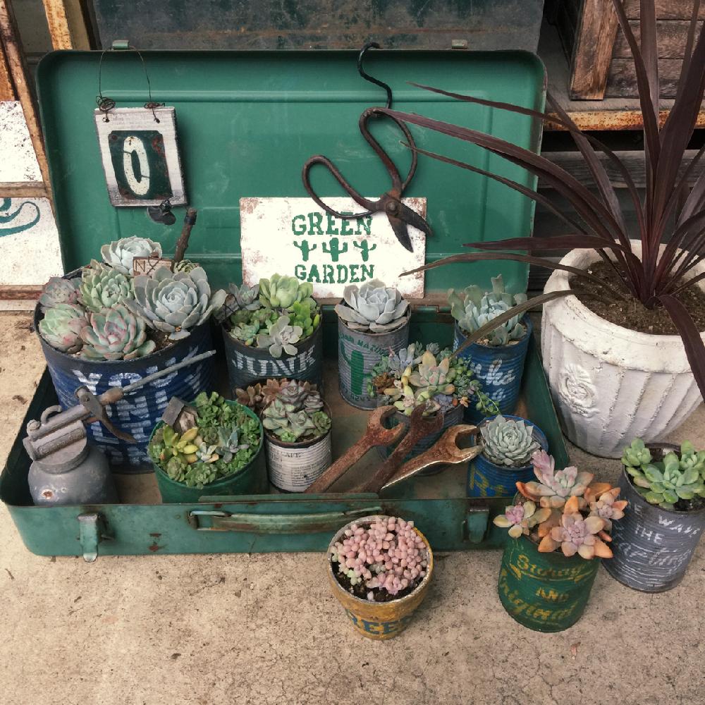 34 割引ブラック系新入荷 アンティークバケツ 古道具 レトロ雑貨 ガーデニング 多肉植物 観葉植物 植物 観葉植物 インテリア 住まい 小物ブラック系 Tiamer Com