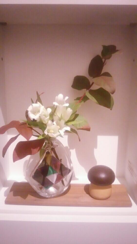 ベストヒペリカム 花瓶 すべての美しい花の画像