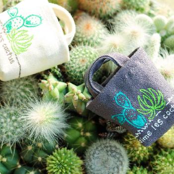 布鉢の投稿画像一覧 Greensnap グリーンスナップ