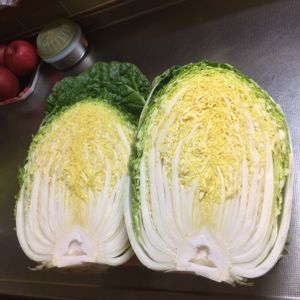 白菜（黄ごころ）,はたけ,収穫,収穫物,自家製野菜の画像