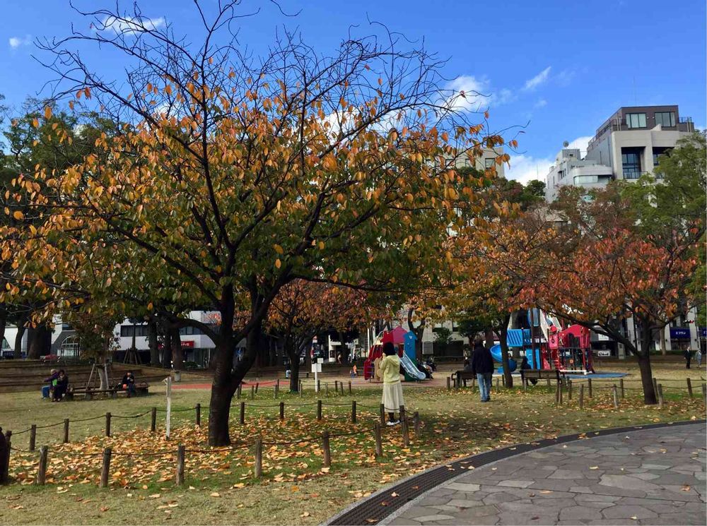 みなとの風さんの横浜公園への投稿