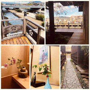 京都,いけばな,ランチタイム☆,川沿い,京都 梅むらの画像