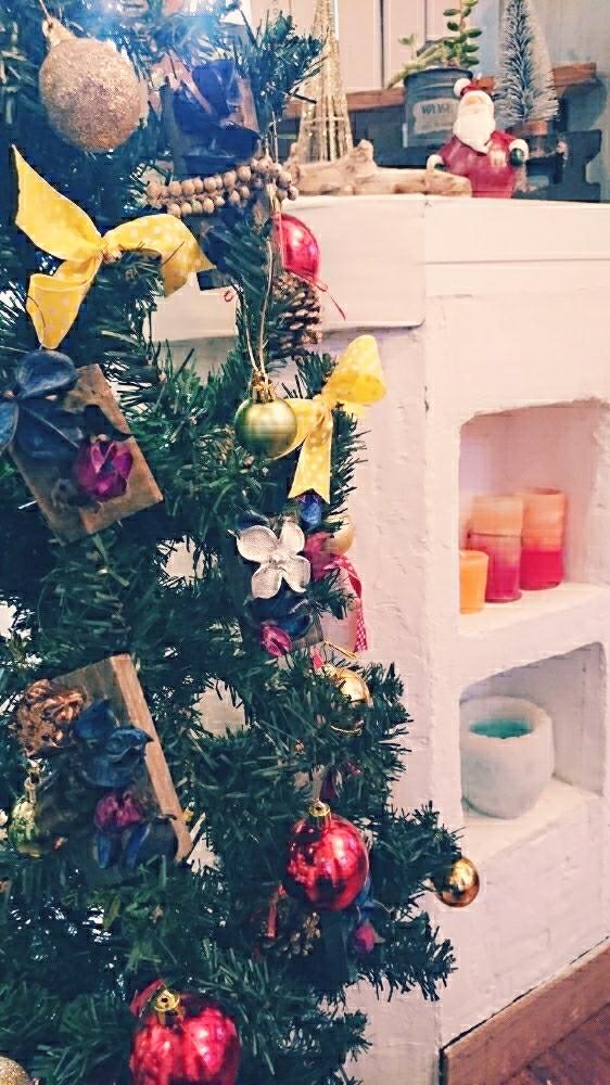 手作りの投稿画像 By Lemonﾕｰｶﾘさん クリスマスツリーと植物のある暮らしとドライフラワーとクリスマス オーナメントとナチュラルインテリアと花のある暮らしとディスプレイともみの木 18月11月24日 Greensnap グリーンスナップ