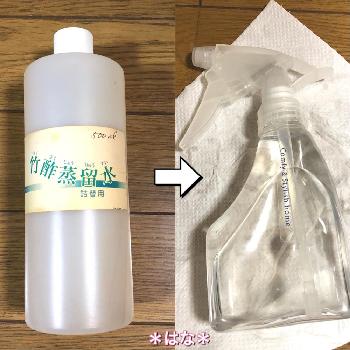 ペット グリーンの投稿画像一覧 Greensnap グリーンスナップ