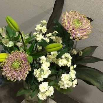 ディスバッドマムの画像 by hi-yuriさん | エントランスと投げ入れと今日のお花と花のある暮らしとディスバッドマムと切り花