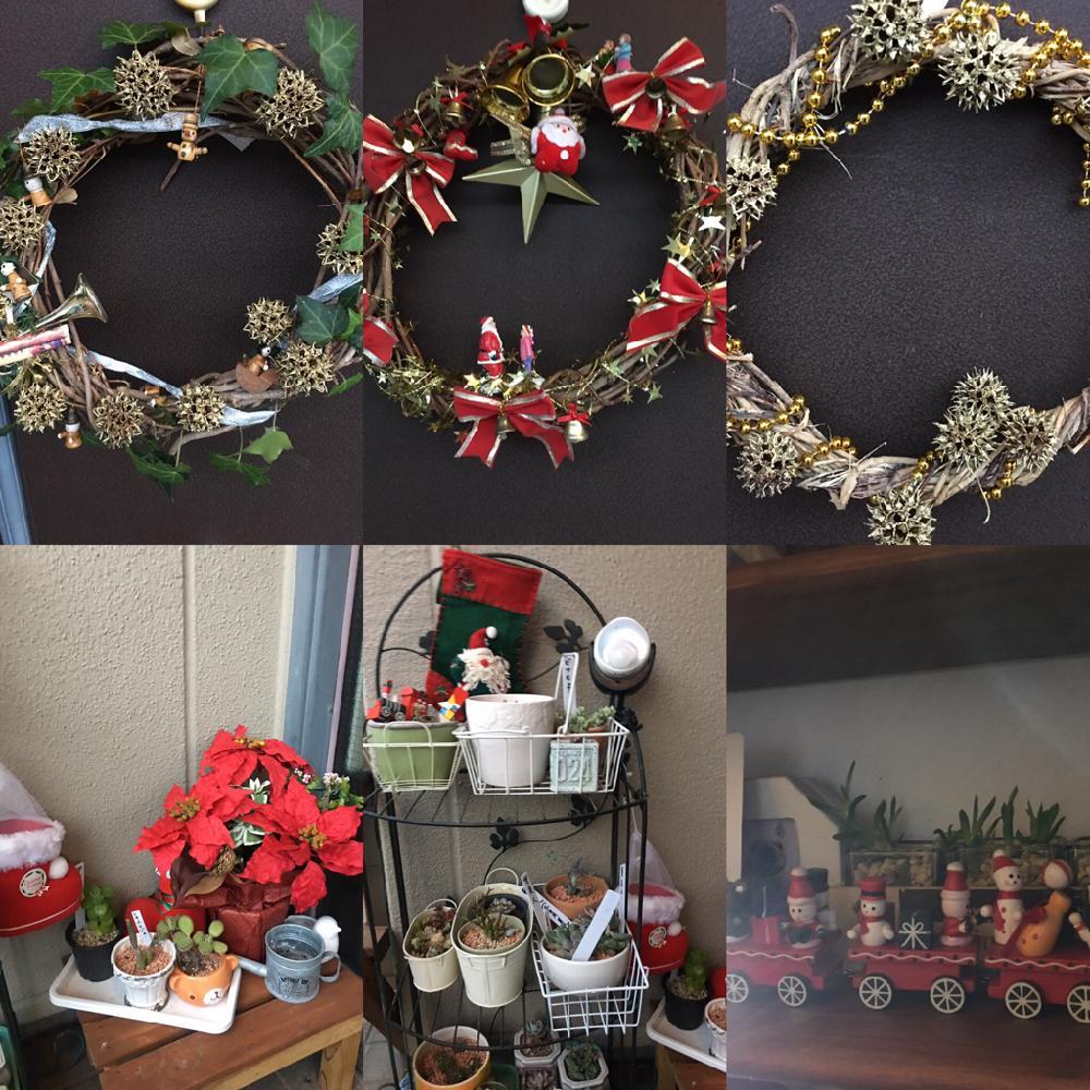 モミシバフウの実の投稿画像 By 花庭さん モミジバフウとアイビーと静岡とgs映え 18月11月28日 Greensnap グリーンスナップ