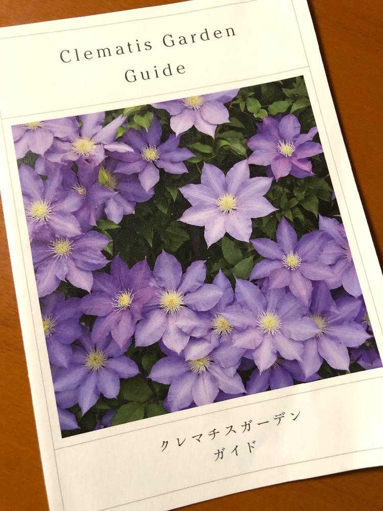 秋のクレマチスの丘?｜?GreenSnap（グリーンスナップ）