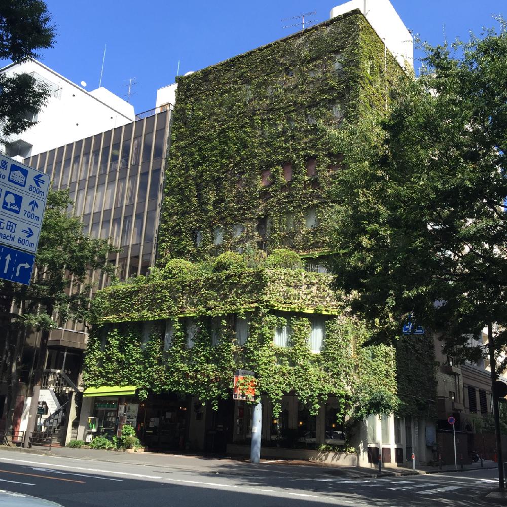 アイビー ヘデラ の投稿画像 By グレ子さん ツタ とボタニカルライフと平成最後の夏pic祭りとみどりみどりとグリーン グリーン グリーン と壁面緑化 と綺麗なミドリとgs映えと横浜と窓際緑化とボタニカルスポットとミドリと緑化と平成最後の夏とボタニカルスポット