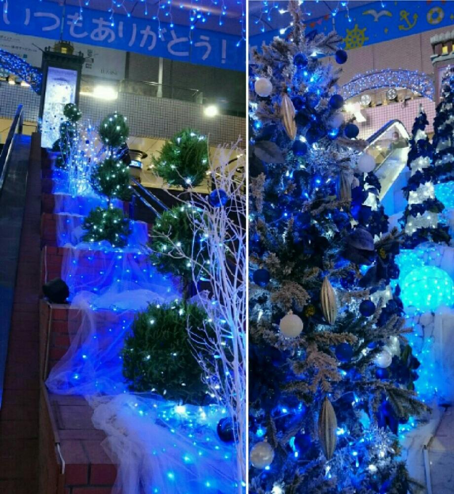 クリスマスツリーの投稿画像 By 麦わら帽子さん イルミネーション とキラキラ といつもありがとう とお写んぽとgs映えと横浜とgs日和と神奈川県とライトアップと神奈川県の風景と神奈川の風景 18月12月10日 Greensnap グリーンスナップ