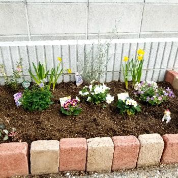 レンガで花壇の投稿画像一覧 Greensnap グリーンスナップ