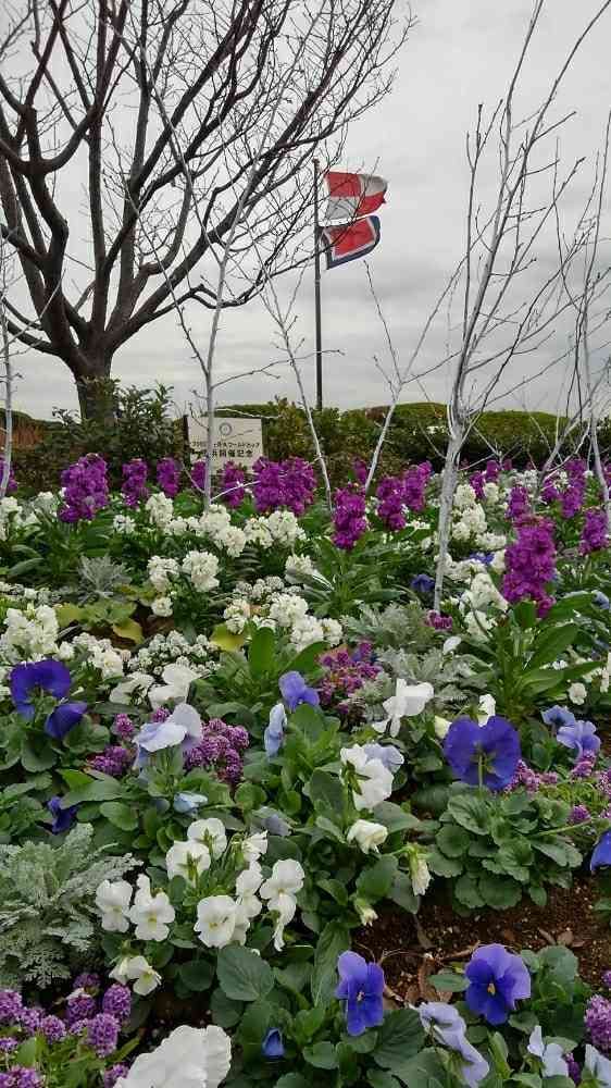 せつ工房さんの港の見える丘公園への投稿