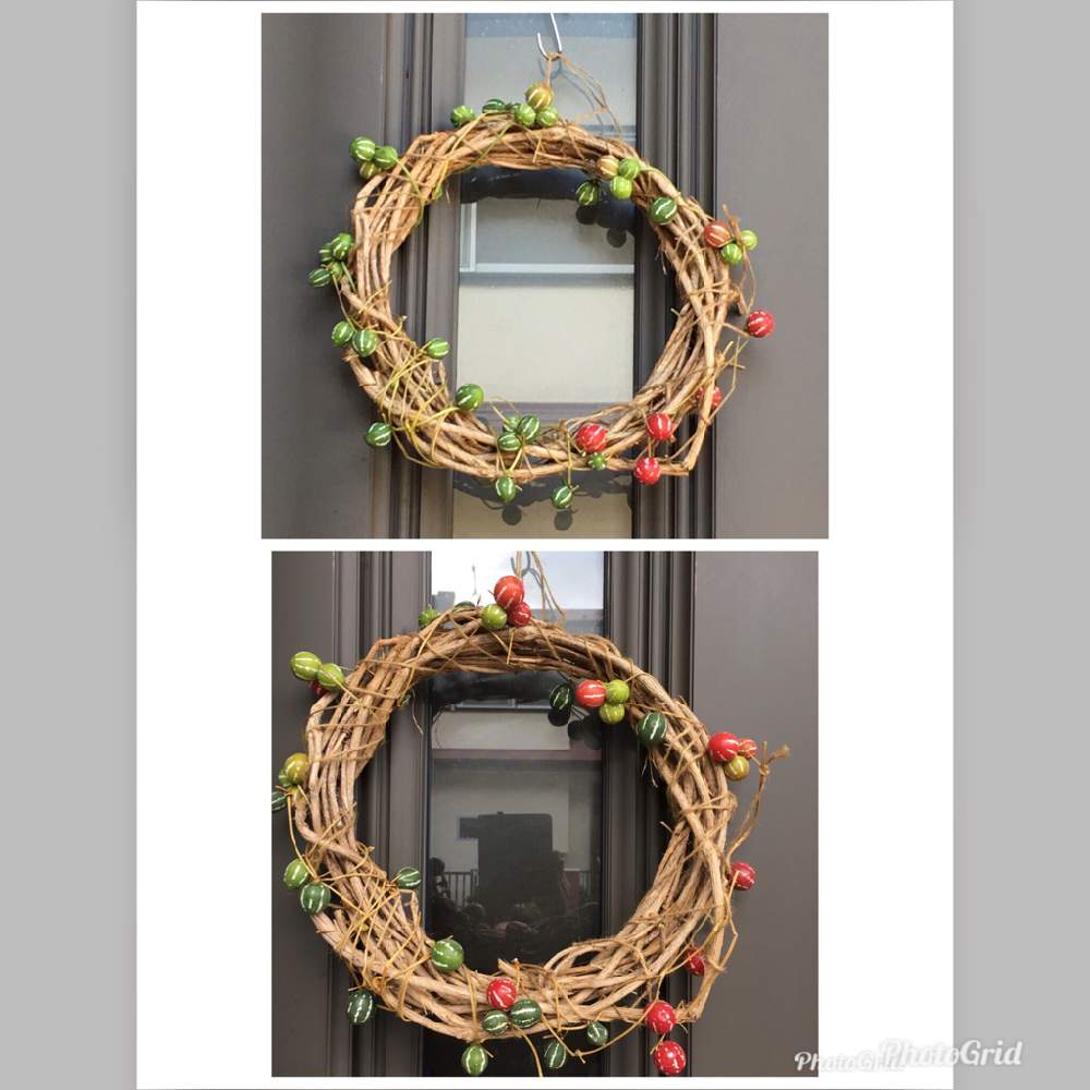 リースの投稿画像 By ほろんさん オキナワスズメウリと巻き巻き 18月12月13日 Greensnap グリーンスナップ