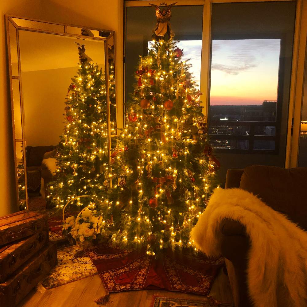 海外のクリスマスツリーの投稿画像 By Maimaiさん 花のある暮らしとクリスマスツリーとクリスマスアレンジ 18月12月14日 Greensnap グリーンスナップ