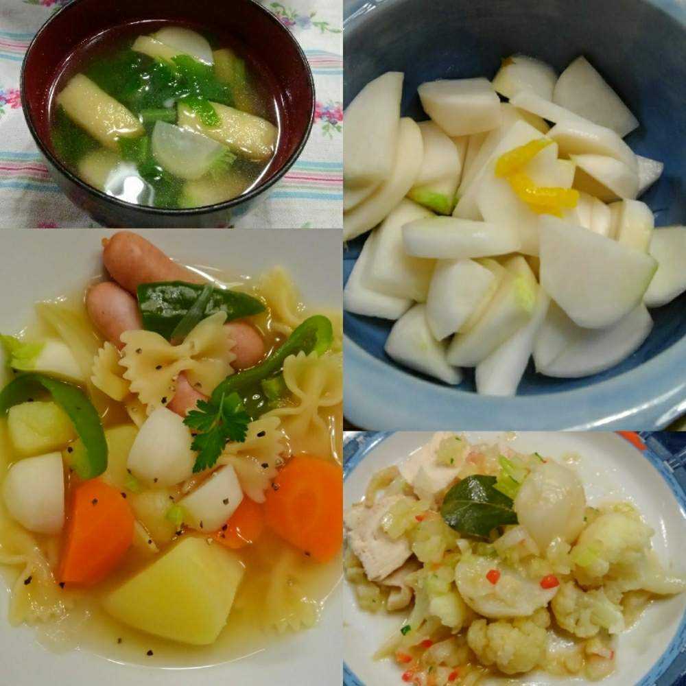 金町コカブの栽培18秋 Greensnap グリーンスナップ 金町コカブの栽培18秋 Greensnap グリーンスナップ