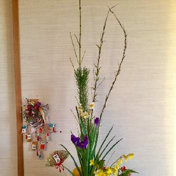 『お正月飾り』コンテストの画像 by yosihanaさん | 部屋と『お正月飾り』コンテストと花のある暮らし♡と薔薇大好き❤️と植中毒と癒し空間とナチュラルスタイルとフラワーアレンジメント