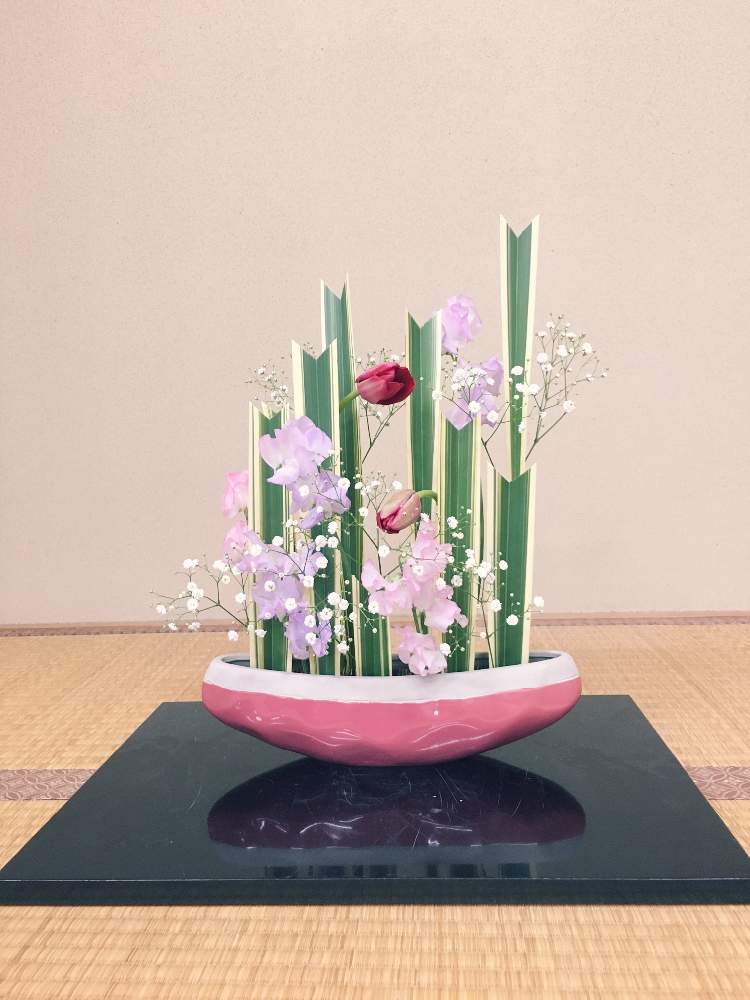 ニューサイランの投稿画像 By ともさん チューリップとスイートピーとかすみ草と和室と花のある暮らしといけばなと池坊と自由花と花のある暮らしといけばなと 池坊と自由花 18月12月日 Greensnap グリーンスナップ Greensnap グリーンスナップ