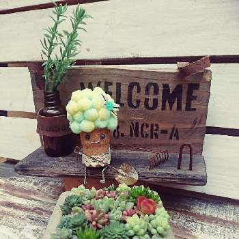 AYUMiさんの雑貨の画像 by GreenGardenさん | 小さな庭と多肉植物とぷにゃりちゃんのコルク人形とAYUMiさんの雑貨と今日の一枚と多肉好きと雑貨