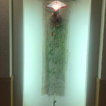 照明に照らされての画像 by アベベさん | 玄関と花のある暮らしと照明に照らされて
